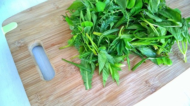 greens, horta, organic, nature, cooking, salad, horta, horta, cooking, cooking, salad, salad, salad, salad, salad horta