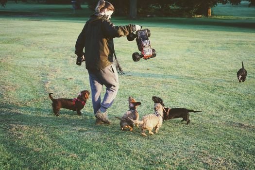 Problemas com o pet place do prédio? Confira as regras essenciais de higiene e comportamento para garantir que o espaço pet seja seguro para todos os animais.
