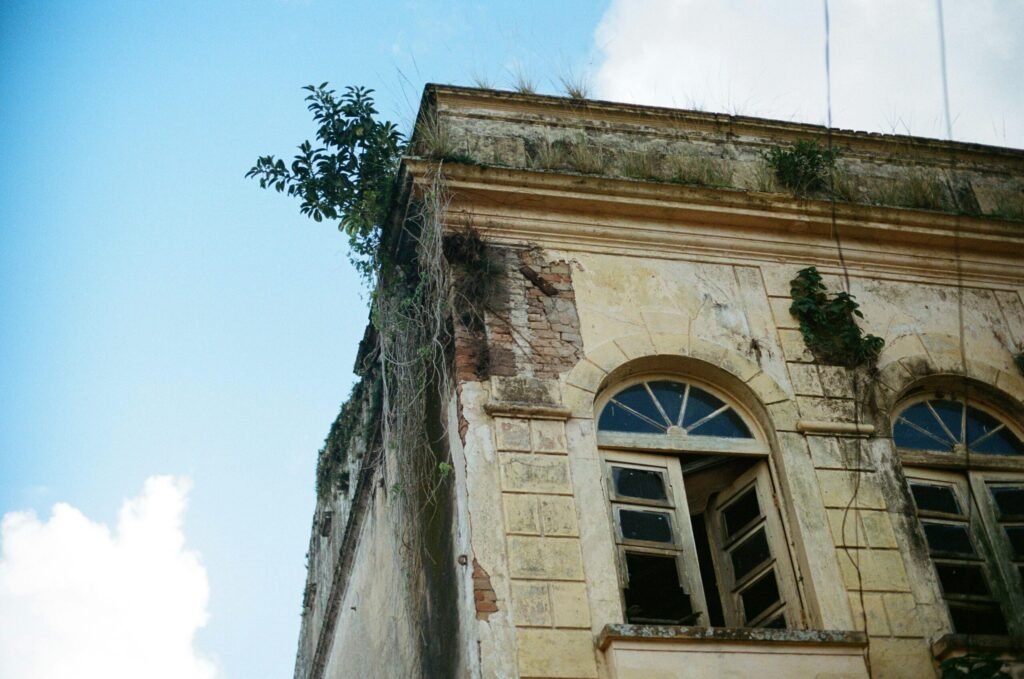 Detailed view of a vintage abandoned building with overgrown vegetation in São Francisco do Sul, Brazil.